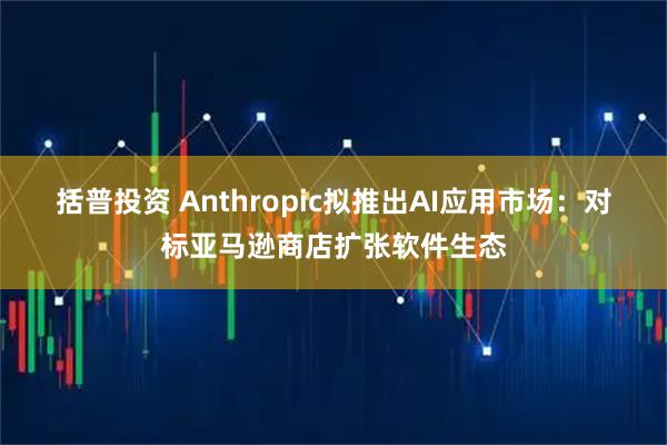 括普投资 Anthropic拟推出AI应用市场：对标亚马逊商店扩张软件生态